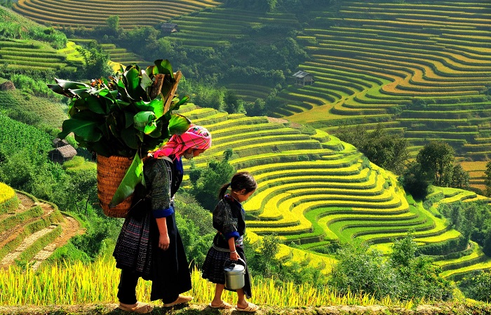 Sapa, Vietnam